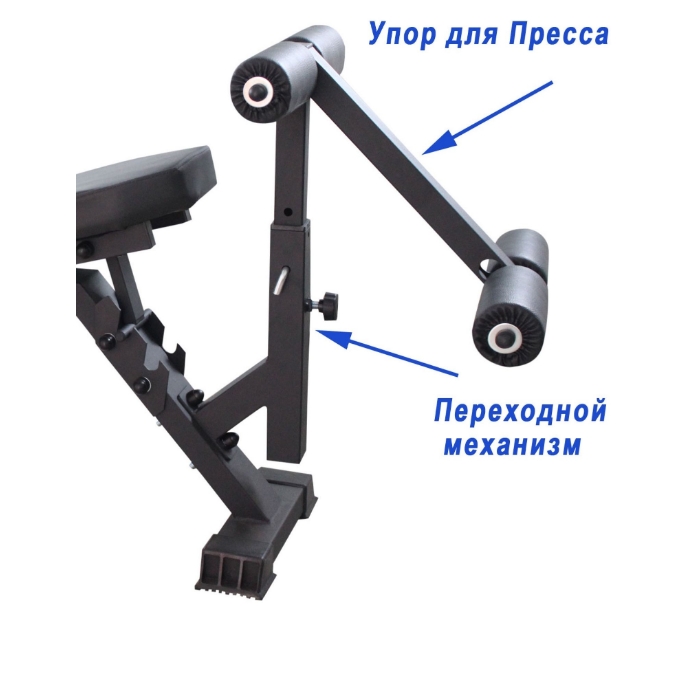 Регулируемая скамья с упором для пресса
